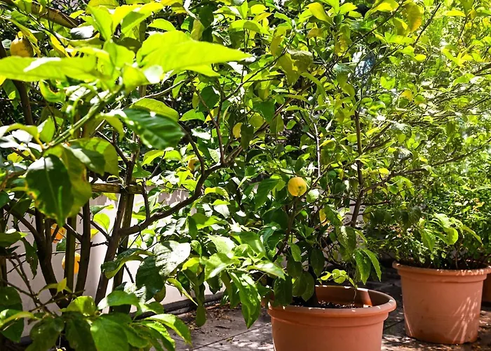 Appartement One Only View Lugano